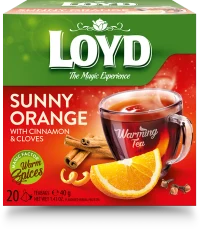 LOYD Warming Tea Sunny Orange with Cinnamon & Cloves, 20 пак 2