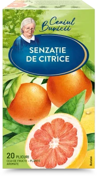 GRANDMA'S TEA Citrus, 20 pac 3