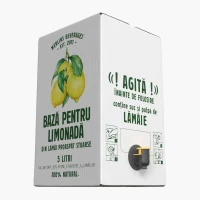 Лимонадная основа Merlin's 100% из свежевыжатых лимонов 5л