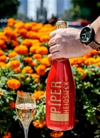 Piper Heidsieck Sleeve Brut, Alb, 12%, 0.75L 3